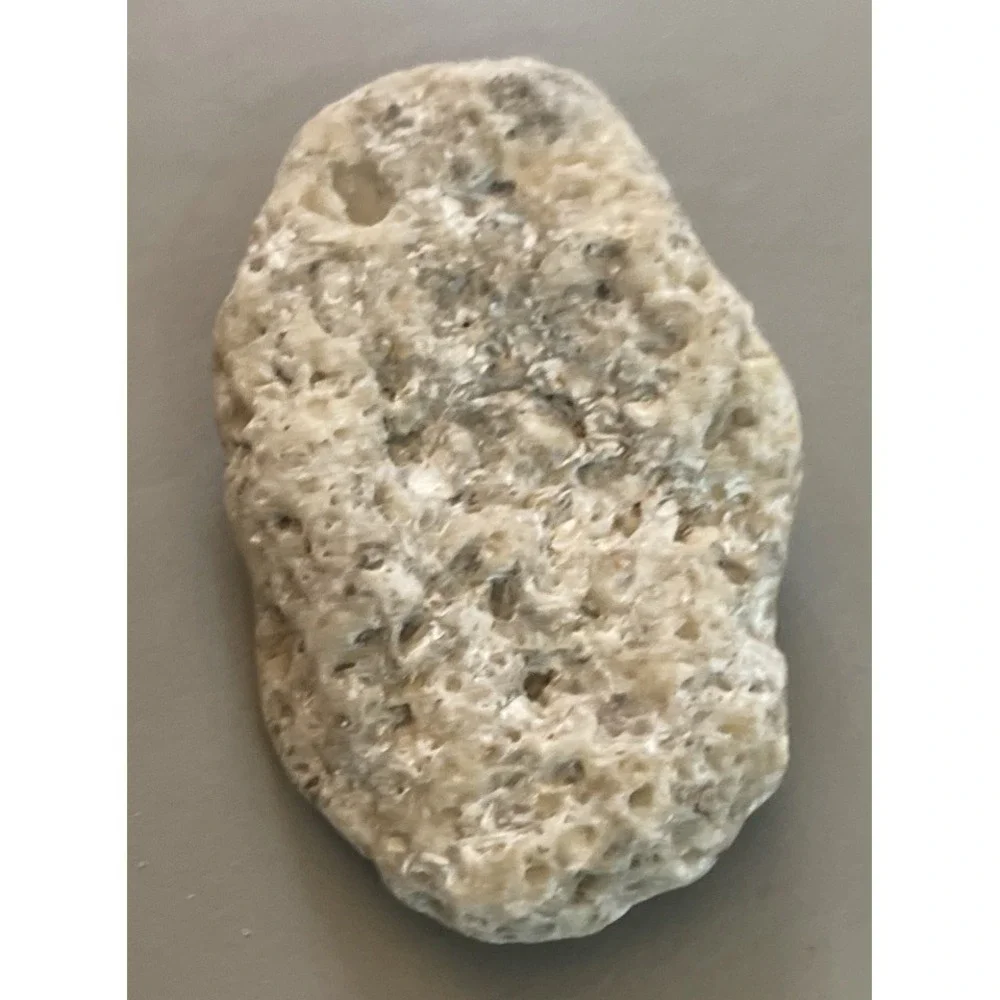 Fossilized Coral Natural Surf Tumbled 5.5